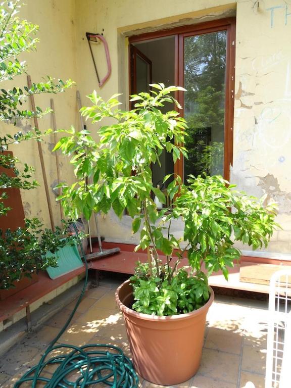 Garden Apartment On Art Nouveau Street In Central Prag Dış mekan fotoğraf